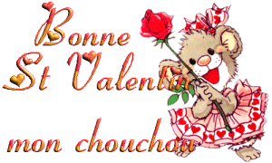 Bonne St Valentin Mon Chouchou