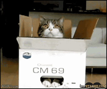 chat carton - image animée GIF