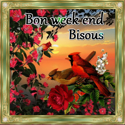 Bon Week-end Bisous
