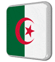 Algérie drapeau 3D